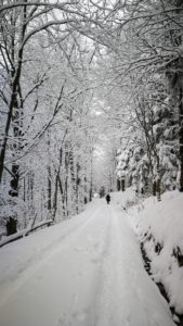 Winter in the Karkonosze