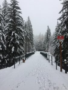 The first snow in the Karkonosze Mountains Poland 2019