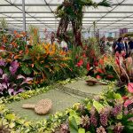 RHS Chelsea Flower Show 2025