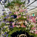 RHS Chelsea Flower Show 2025
