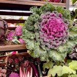RHS Chelsea Flower Show 2025