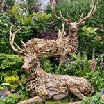 RHS Chelsea Flower Show 2025
