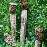RHS Chelsea Flower Show 2025