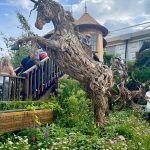 RHS Chelsea Flower Show 2025